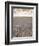 Parched Earth, Etosha National Park, Namibia-Walter Bibikow-Framed Photographic Print