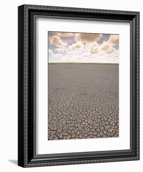 Parched Earth, Etosha National Park, Namibia-Walter Bibikow-Framed Photographic Print