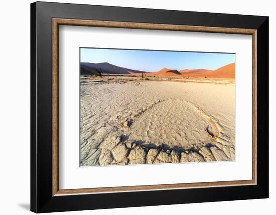 Parched Ground and Dead Acacia Surrounded by Sandy Dunes, Sossusvlei, Namib Naukluft National Park-Roberto Moiola-Framed Photographic Print