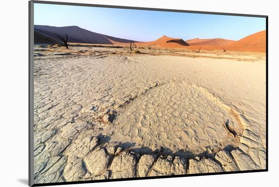 Parched Ground and Dead Acacia Surrounded by Sandy Dunes, Sossusvlei, Namib Naukluft National Park-Roberto Moiola-Mounted Photographic Print