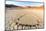 Parched Ground and Dead Acacia Surrounded by Sandy Dunes, Sossusvlei, Namib Naukluft National Park-Roberto Moiola-Mounted Photographic Print