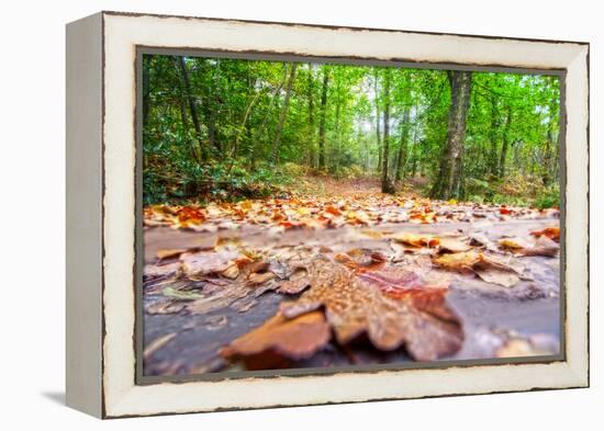 Parchemin-Viviane Fedieu Daniel-Framed Premier Image Canvas