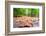 Parchemin-Viviane Fedieu Daniel-Framed Photographic Print