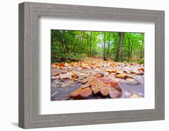 Parchemin-Viviane Fedieu Daniel-Framed Photographic Print