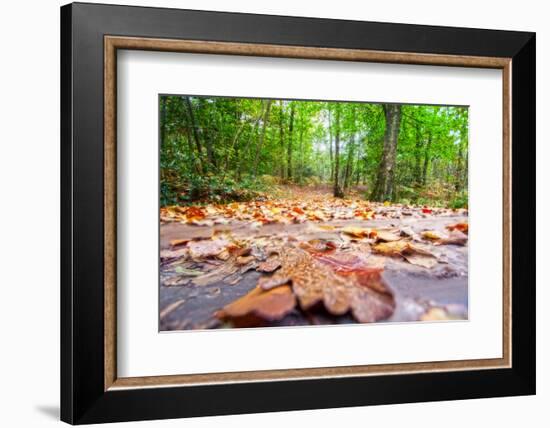 Parchemin-Viviane Fedieu Daniel-Framed Photographic Print