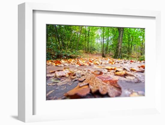 Parchemin-Viviane Fedieu Daniel-Framed Photographic Print