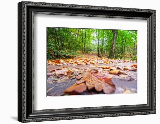 Parchemin-Viviane Fedieu Daniel-Framed Photographic Print