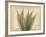 Parchment Fern 2-Albert Koetsier-Framed Photo