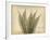 Parchment Fern 2-Albert Koetsier-Framed Photo