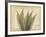 Parchment Fern 2-Albert Koetsier-Framed Photo