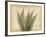 Parchment Fern 2-Albert Koetsier-Framed Photo