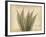 Parchment Fern 2-Albert Koetsier-Framed Photo