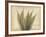 Parchment Fern 2-Albert Koetsier-Framed Photo