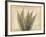 Parchment Fern 2-Albert Koetsier-Framed Photo