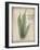 Parchment Fern-Albert Koetsier-Framed Photo