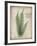 Parchment Fern-Albert Koetsier-Framed Photo