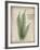 Parchment Fern-Albert Koetsier-Framed Photo