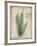 Parchment Fern-Albert Koetsier-Framed Photo