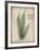 Parchment Fern-Albert Koetsier-Framed Photo