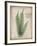 Parchment Fern-Albert Koetsier-Framed Photo