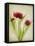 Parchment Flowers I-Judy Stalus-Framed Stretched Canvas