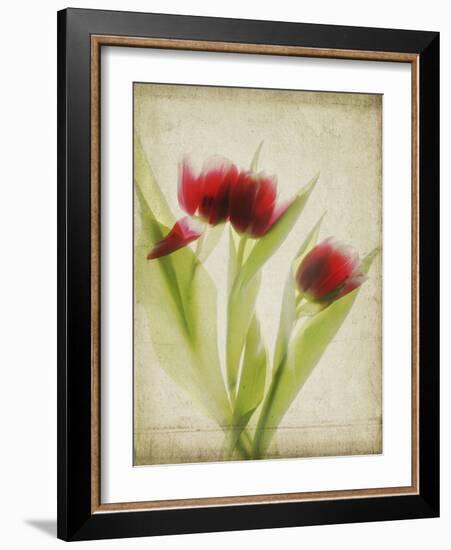 Parchment Flowers I-Judy Stalus-Framed Art Print