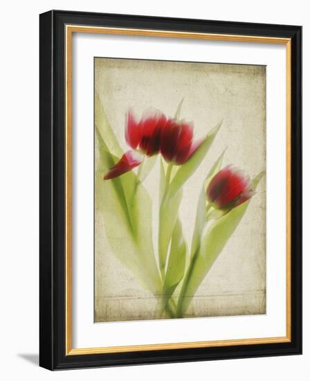 Parchment Flowers I-Judy Stalus-Framed Art Print
