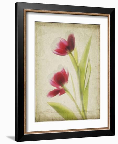 Parchment Flowers III-Judy Stalus-Framed Art Print