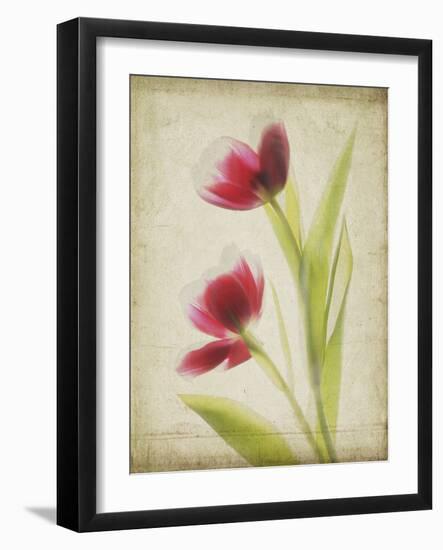 Parchment Flowers III-Judy Stalus-Framed Art Print