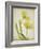 Parchment Flowers IV-Judy Stalus-Framed Art Print