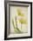 Parchment Flowers IV-Judy Stalus-Framed Art Print