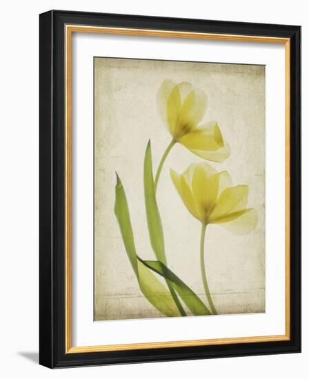 Parchment Flowers IV-Judy Stalus-Framed Art Print