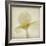 Parchment Flowers IX-Judy Stalus-Framed Art Print