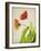 Parchment Flowers VI-Judy Stalus-Framed Art Print