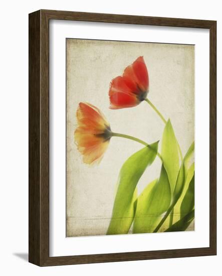 Parchment Flowers VI-Judy Stalus-Framed Art Print