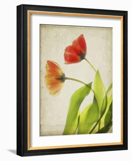 Parchment Flowers VI-Judy Stalus-Framed Art Print