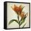 Parchment Flowers X-Judy Stalus-Framed Stretched Canvas