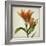 Parchment Flowers X-Judy Stalus-Framed Art Print