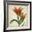 Parchment Flowers X-Judy Stalus-Framed Art Print