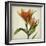 Parchment Flowers X-Judy Stalus-Framed Art Print