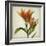 Parchment Flowers X-Judy Stalus-Framed Art Print