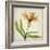 Parchment Flowers XI-Judy Stalus-Framed Art Print