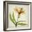 Parchment Flowers XI-Judy Stalus-Framed Art Print