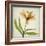 Parchment Flowers XI-Judy Stalus-Framed Art Print