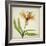 Parchment Flowers XI-Judy Stalus-Framed Art Print