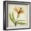 Parchment Flowers XI-Judy Stalus-Framed Art Print