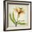 Parchment Flowers XI-Judy Stalus-Framed Art Print