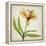 Parchment Flowers XI-Judy Stalus-Framed Stretched Canvas