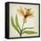 Parchment Flowers XI-Judy Stalus-Framed Stretched Canvas