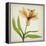 Parchment Flowers XI-Judy Stalus-Framed Stretched Canvas